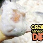 Crockpot Dip Recipe