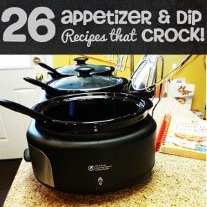 Slow Cooker Dip Appetizer Recipes