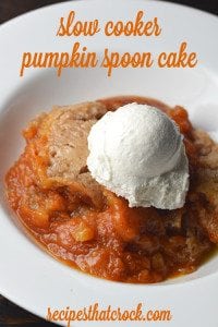 Crock Pot Pumpkin Dessert