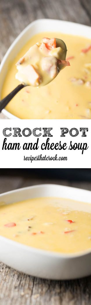 Crock Pot Ham and Cheese Soup: Delicious cheesy soup  much like OCharley's Potato Soup only with ham instead. Perfect leftover ham recipe for your slow cooker. 