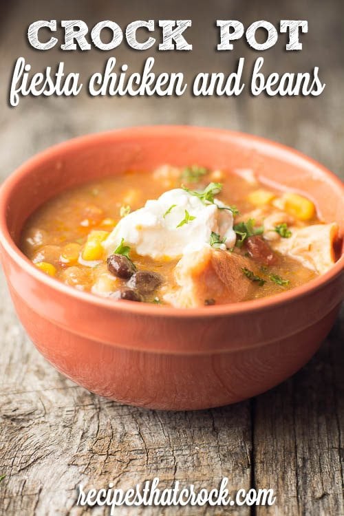 Crock Pot Fiesta Chicken and Beans: Great one pot dish! Perfect on its own, over rice or on a tortilla.