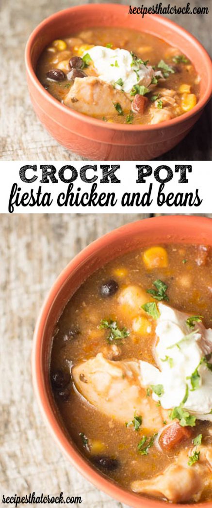 Crock Pot Fiesta Chicken and Beans: Great one pot dish! Perfect on its own, over rice or  on a tortilla.