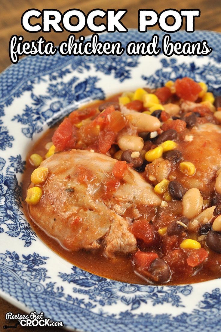 This Crock Pot Fiesta Chicken and Beans recipe is a great one pot dish! It is perfect on its own, over rice or on a tortilla.