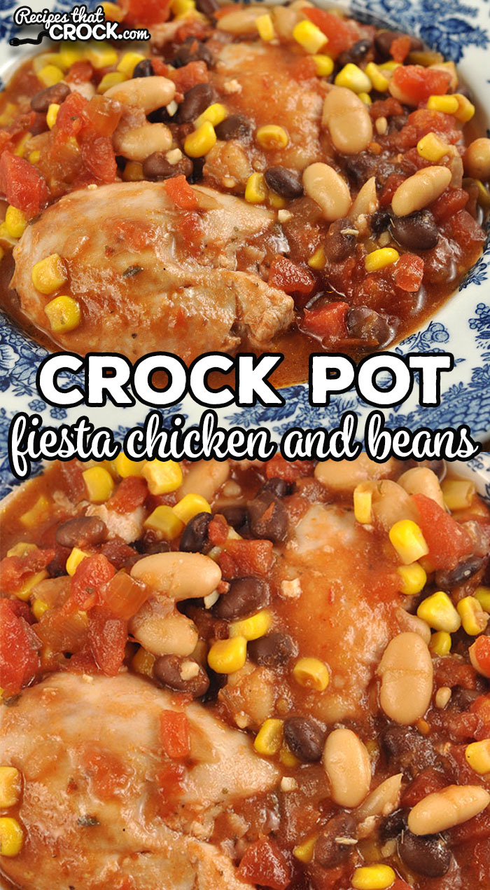 This Crock Pot Fiesta Chicken and Beans recipe is a great one pot dish! It is perfect on its own, over rice or on a tortilla.