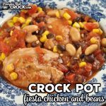 This Crock Pot Fiesta Chicken and Beans recipe is a great one pot dish! It is perfect on its own, over rice or on a tortilla.
