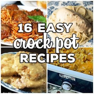 Easy Crock Pot Recipes: From Dinner to Dessert we have you covered with 16 great recipes from some of our favorite bloggers!
