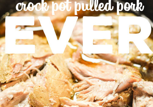 The Easiest Crock Pot Pulled Pork you will ever make!