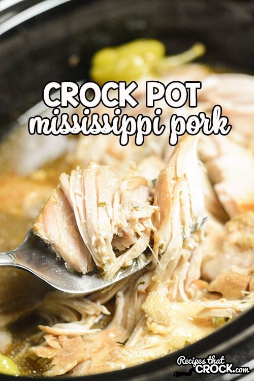 Crock Pot Mississippi Pork- An easy dump and go all day slow cooker recipe!