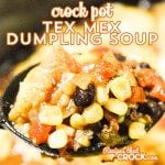 Crock Pot Tex Mex Dumpling Soup is a great new soup that we love!
