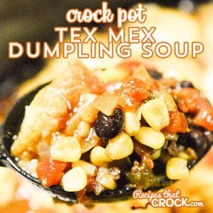 Crock Pot Tex Mex Dumpling Soup is a great new soup that we love!