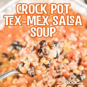 This Crock Pot Tex Mex Salsa Soup Recipe is super simple to throw together, very flavorful AND hearty!