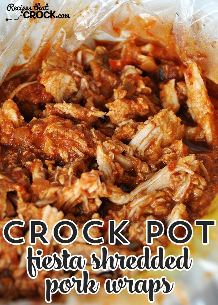 These Crock Pot Fiesta Shredded Pork Wraps are quick, easy, budget friendly AND super tasty!