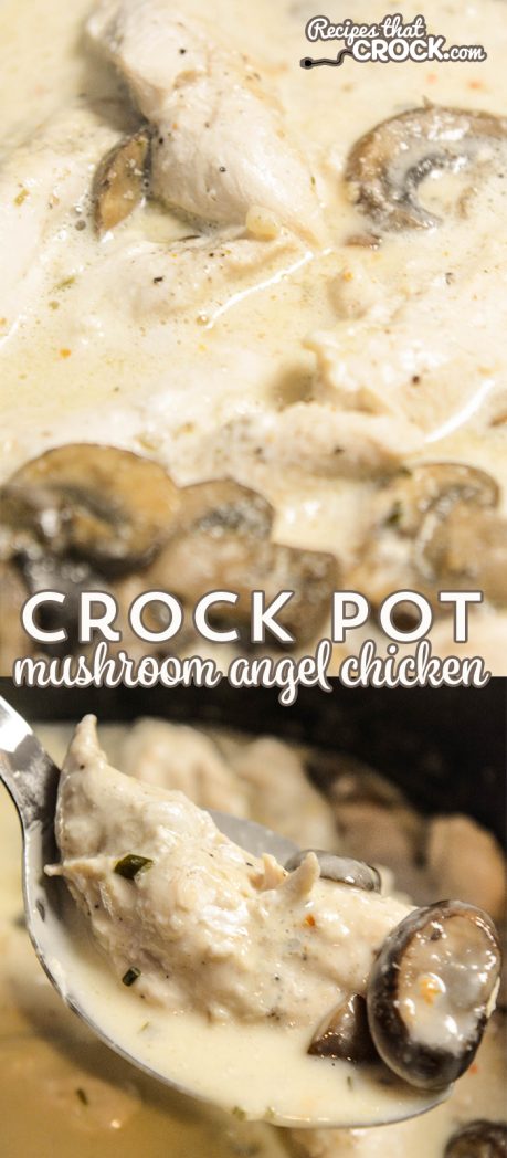 Crock Pot Mushroom Angel Chicken Recipe: An adapted version of our all time favorite slow cooker recipe on the site. So easy to throw together. Everyone asks for this recipe after tasting it!