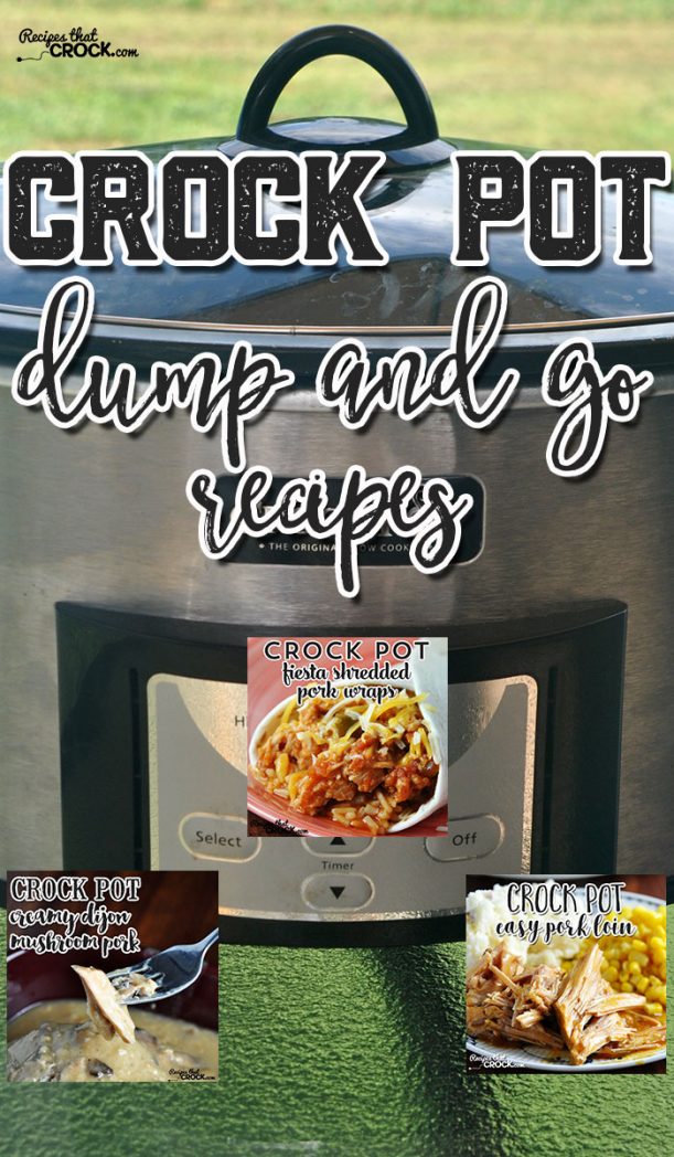 These Crock Pot Dump and Go Recipes are awesome!