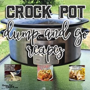 These Crock Pot Dump and Go Recipes are awesome!