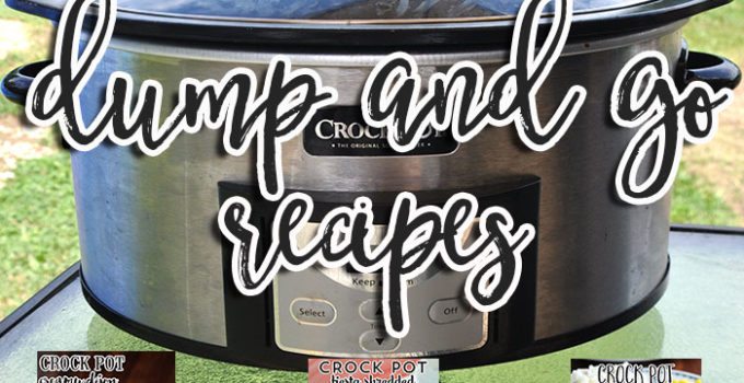 These Crock Pot Dump and Go Recipes are awesome!