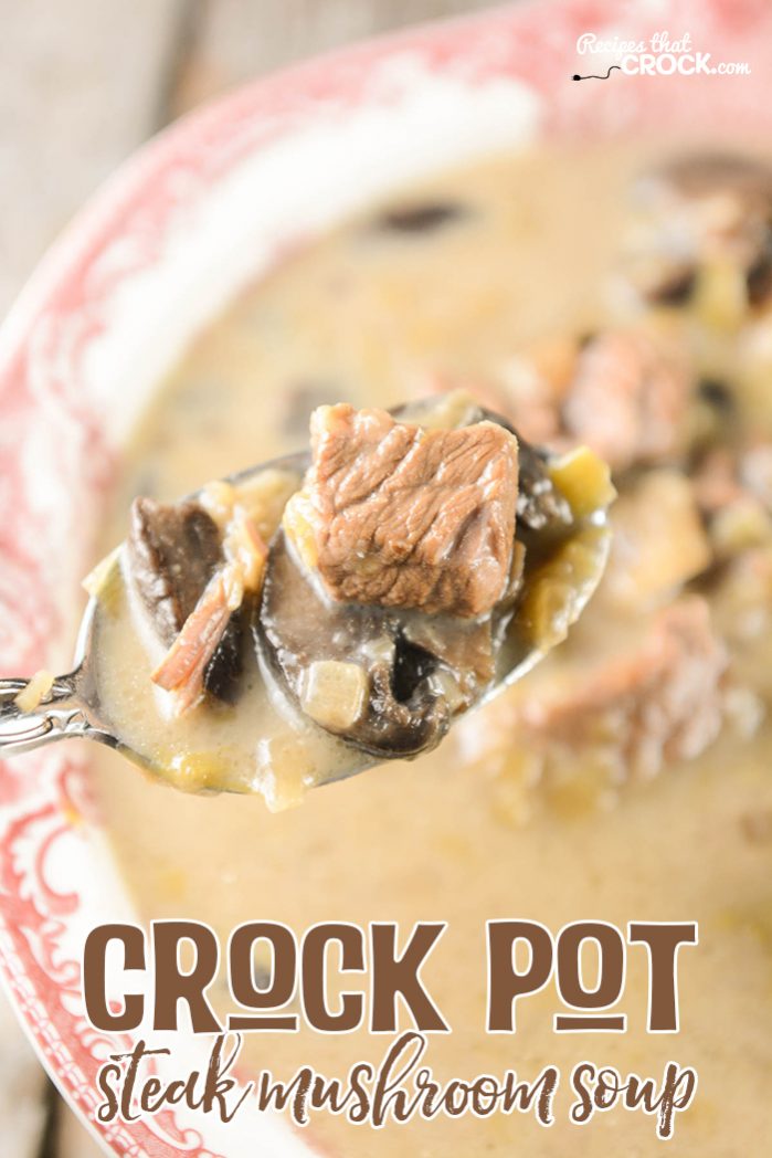 Crock Pot Steak Mushroom Soup is a tasty all day slow cooker soup!