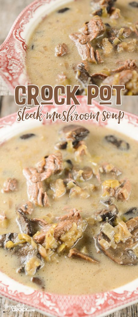 Crock Pot Steak Mushroom Soup is a tasty all day slow cooker soup!