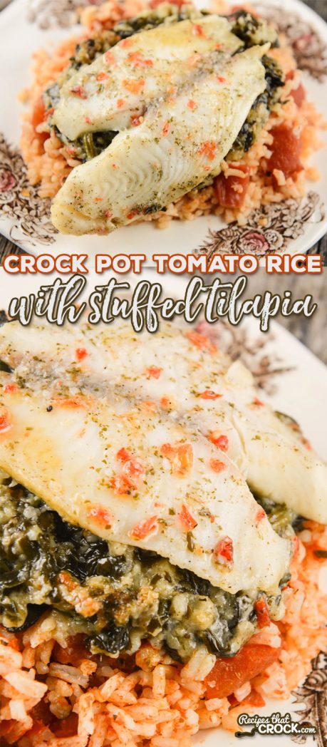 Are you looking for a quick and easy lunch or dinner idea for one to two people? Our Crock Pot Tomato Rice with Stuffed Tilapia is a delicious recipe that is perfect for those looking for individual portions.