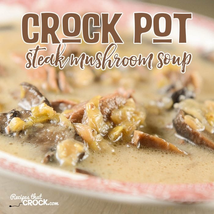 Crock Pot Steak Mushroom Soup is a tasty all day slow cooker soup!