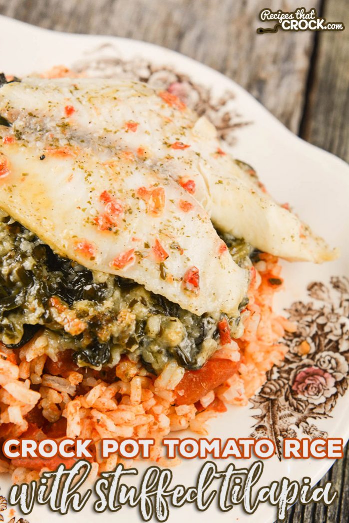 Are you looking for a quick and easy lunch or dinner idea for one to two people? Our Crock Pot Tomato Rice with Stuffed Tilapia is a delicious recipe that is perfect for those looking for individual portions.