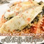 Are you looking for a quick and easy lunch or dinner idea for one to two people? Our Crock Pot Tomato Rice with Stuffed Tilapia is a delicious recipe that is perfect for those looking for individual portions.