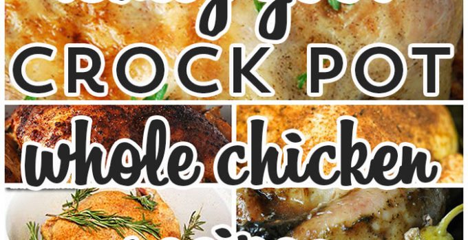 crock pot recipe beef chicken pork recipesthatcrock