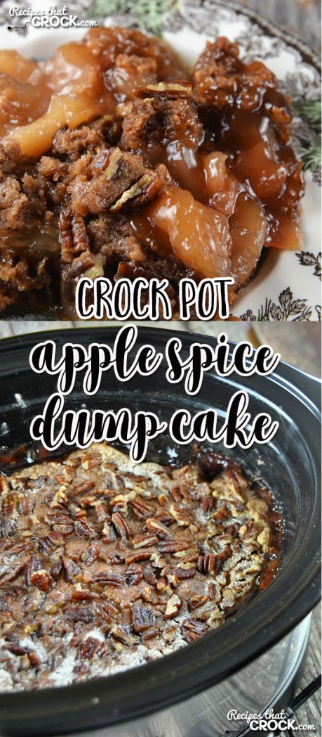This Crock Pot Apple Spice Dump Cake is a crock pot adaption of a tried and true family recipe!