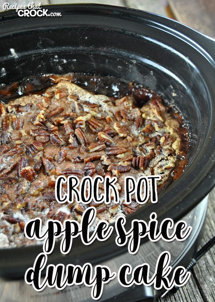 This Crock Pot Apple Spice Dump Cake is a crock pot adaption of a tried and true family recipe!