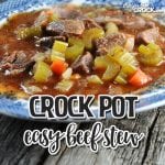 If you love a delicious beef stew with tons of veggies, tender beef and a yummy broth, then you're in for a treat with this Easy Crock Pot Beef Stew!