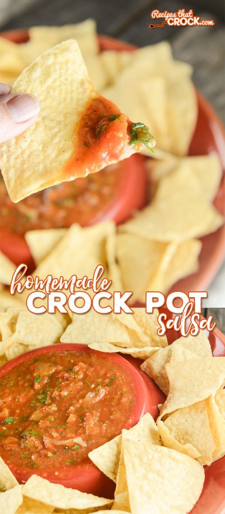 Do you love homemade salsa? Our homemade crock pot salsa is so simple to throw together and has that great made from scratch taste!