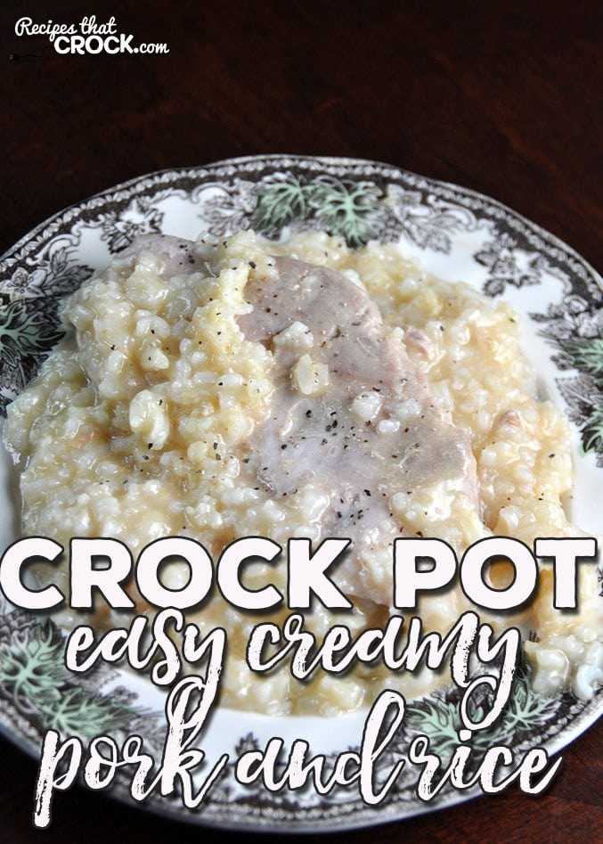 If you are looking for some delicious comfort food that is super easy to throw together, you are gonna love this Easy Crock Pot Creamy Pork and Rice recipe!