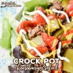 Are you looking for a yummy way to switch up your salad routine? Our Crock Pot Cheeseburger Salad takes all the delicious flavors from your favorite burger and turns it into a fun salad!