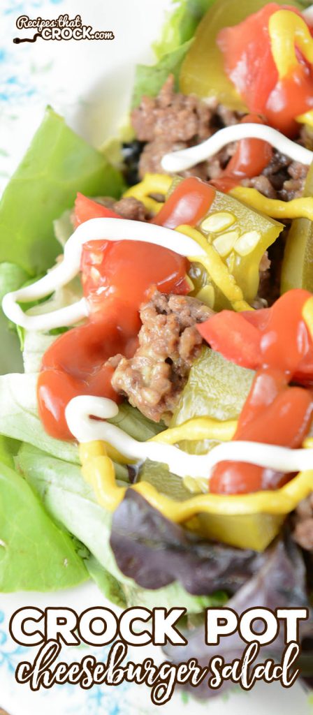 Are you looking for a yummy way to switch up your salad routine? Our Crock Pot Cheeseburger Salad takes all the delicious flavors from your favorite burger and turns it into a fun salad!