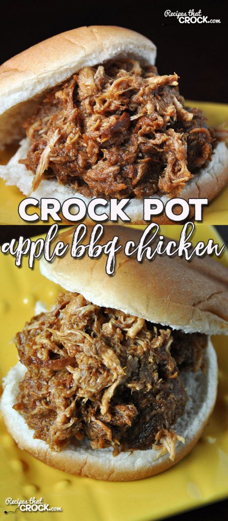 Do you need a simple recipe that has great flavor and will feed a crowd? Then you don't want to miss this Crock Pot Apple BBQ Chicken! Yum!