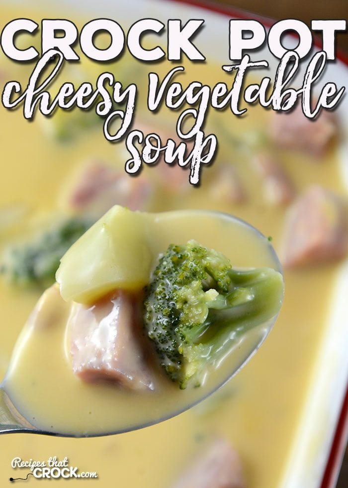 This simple Crock Pot Cheesy Vegetable Soup is gonna cRock your world! It is easy, cheesy, super delicious and sure to be a family favorite!
