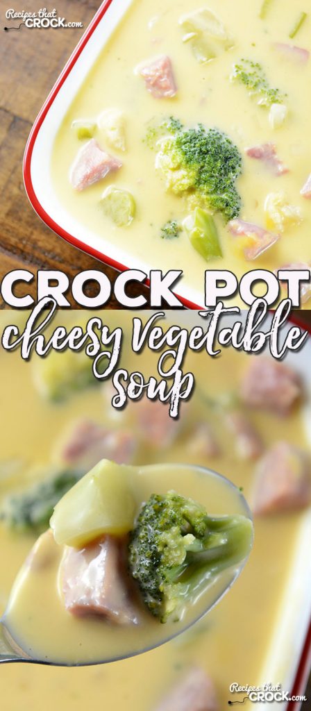 This simple Crock Pot Cheesy Vegetable Soup is gonna cRock your world! It is easy, cheesy, super delicious and sure to be a family favorite!