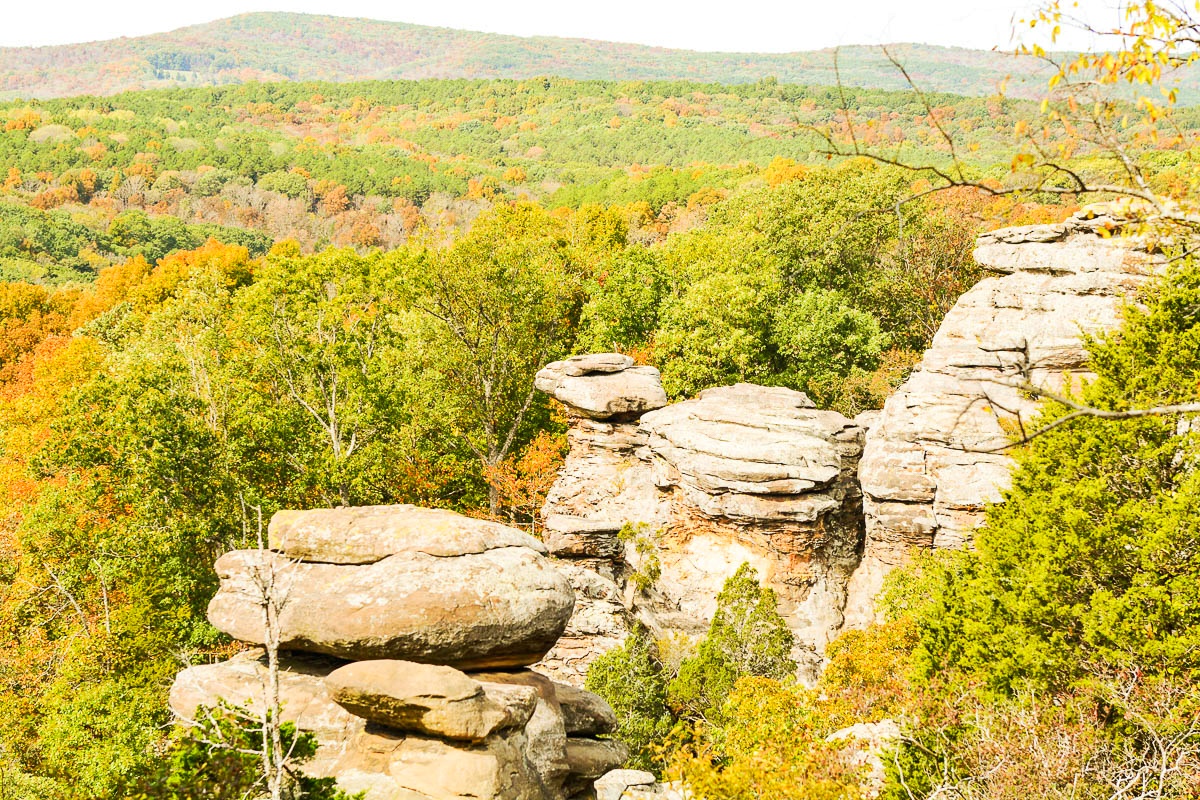 Garden of the Gods in the Shawnee National Forest has amazing scenic views.