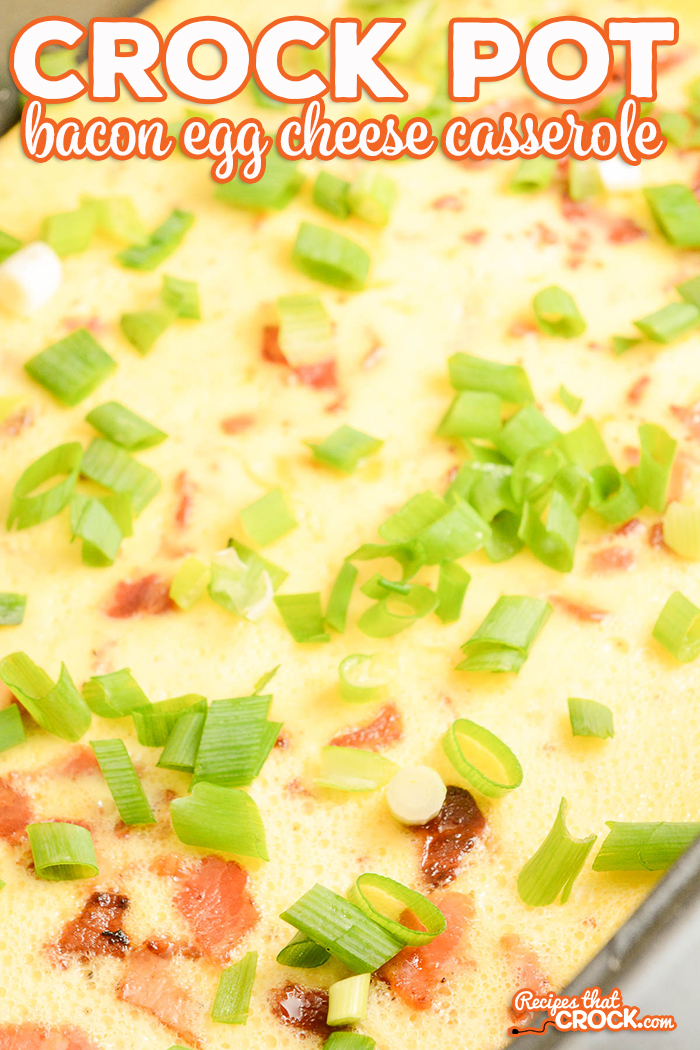 This Crock Pot Bacon Egg Cheese Casserole is a great breakfast that will feed the whole family. Filled with bacon, eggs, and cheese, this breakfast casserole will be sure to fill your family with smiles!