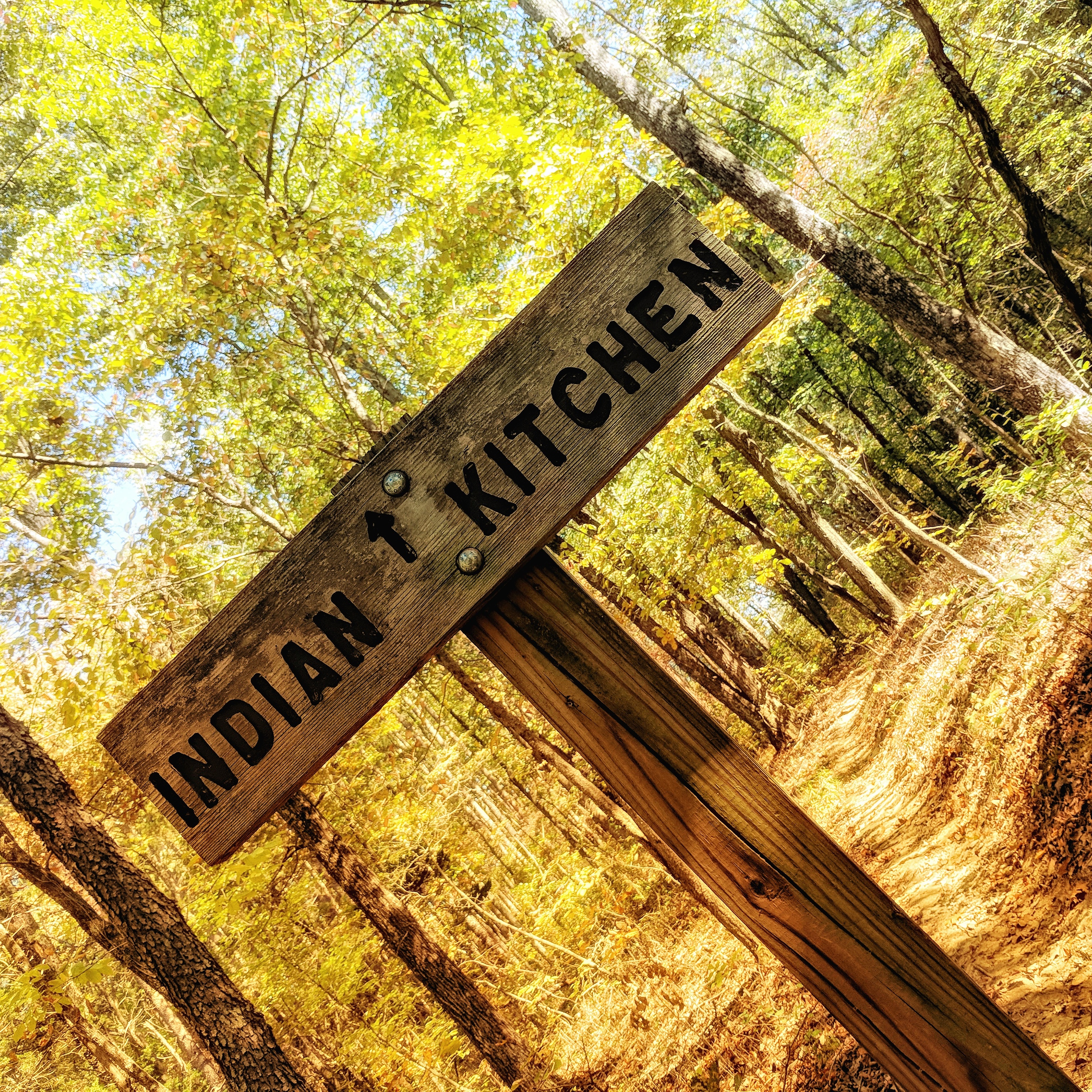 Hike to Indian Kitchen in Shawnee National Forest, IL. Great hiking for family travel.