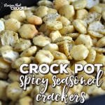 Theses Crock Pot Seasoned Crackers are easy, tasty, spicy and a recipe that Michael's great-aunt has been using for over 40 years! It is the perfect snack to have on hand for a party or just at your home! Yum!