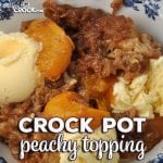 No matter the season, this Crock Pot Peachy Topping is going to satisfy your sweet tooth! You can make it with fresh, frozen or canned peaches!