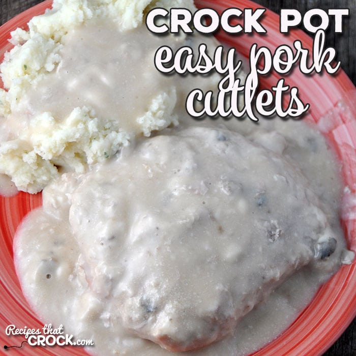 If you are looking for an easy dinner for two (or you can easily change this recipe to make more servings), I have the recipe for you! This Easy Crock Pot Pork Cutlets recipe is super easy and so delicious!