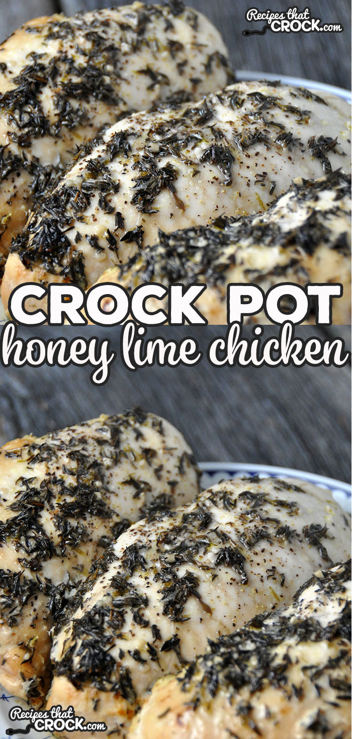 Do you love chicken, but get tired of the same 'ol, same ol'? Well do I have a treat for you! This Crock Pot Honey Lime Chicken is so delicious and packed full of flavor! 