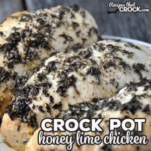 Do you love chicken, but get tired of the same 'ol, same ol'? Well do I have a treat for you! This Crock Pot Honey Lime Chicken is so delicious and packed full of flavor! 