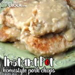 This amazing Instant Pot Homestyle Pork Chops recipe is ready in less than an hour while giving you tender, delicious, juicy chops! 