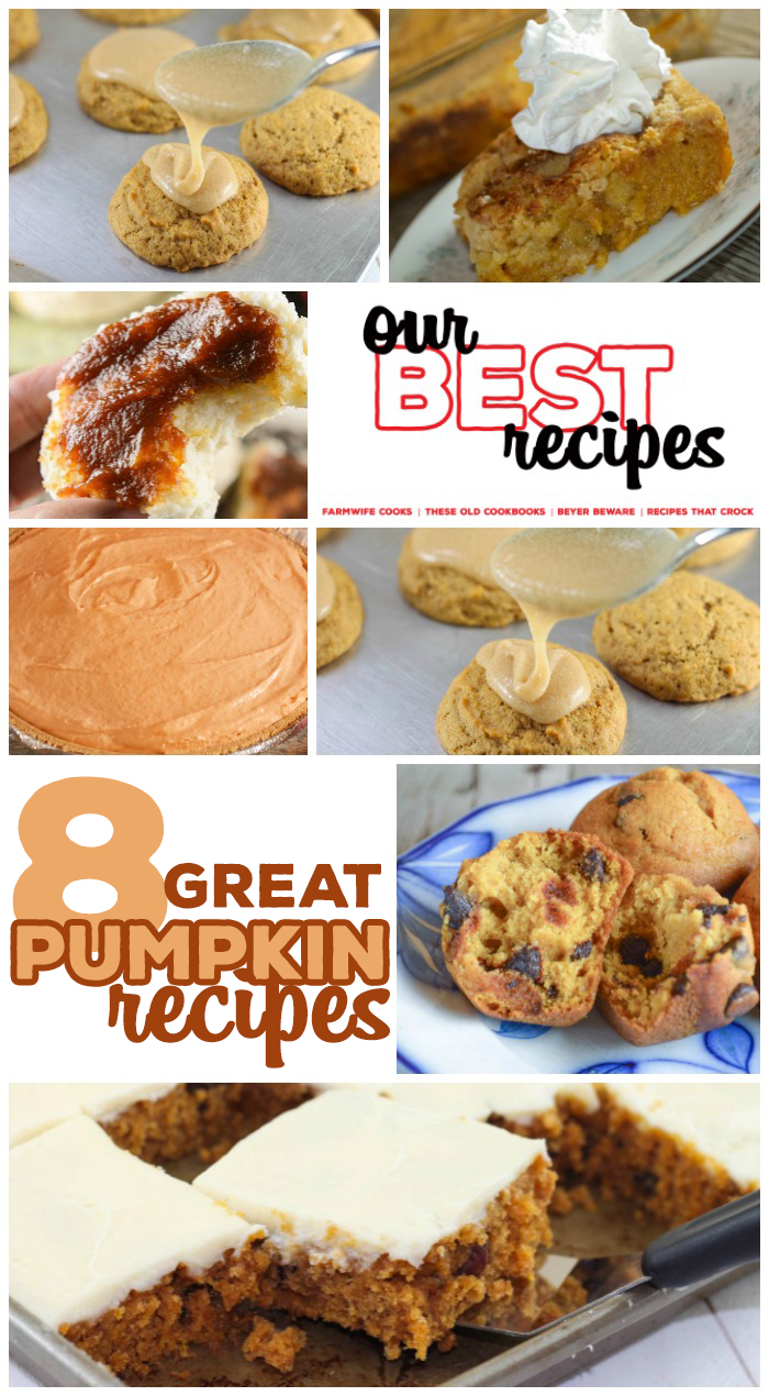 This collection of 8 Great Pumpkin Recipes includes Pumpkin Cookies, Pumpkin Muffins, Pumpkin Butter, Pumpkin Pies and Pumpkin Cakes! These easy recipes are great for fall and holiday meals!