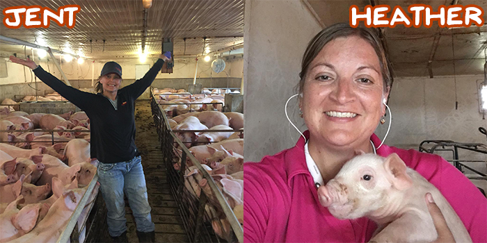 Pork Farmers