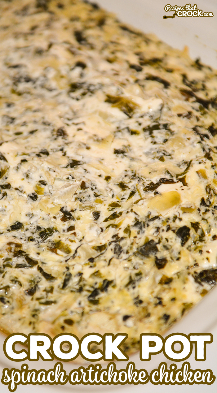 Are you looking for a delicious low carb chicken recipe? Our Crock Pot Spinach Artichoke Chicken so easy to throw together and so good!