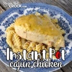 This Instant Pot Cajun Chicken recipe is incredibly easy and is great on its own, over rice or over noodles! Young and old alike will love it!